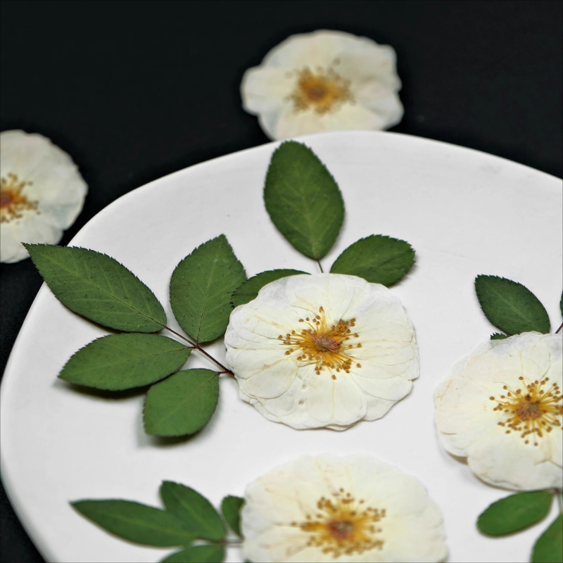 6pcs,9pcs,Nature White Rose Pr - огляд і ціна Wax Seal Stamp Kit